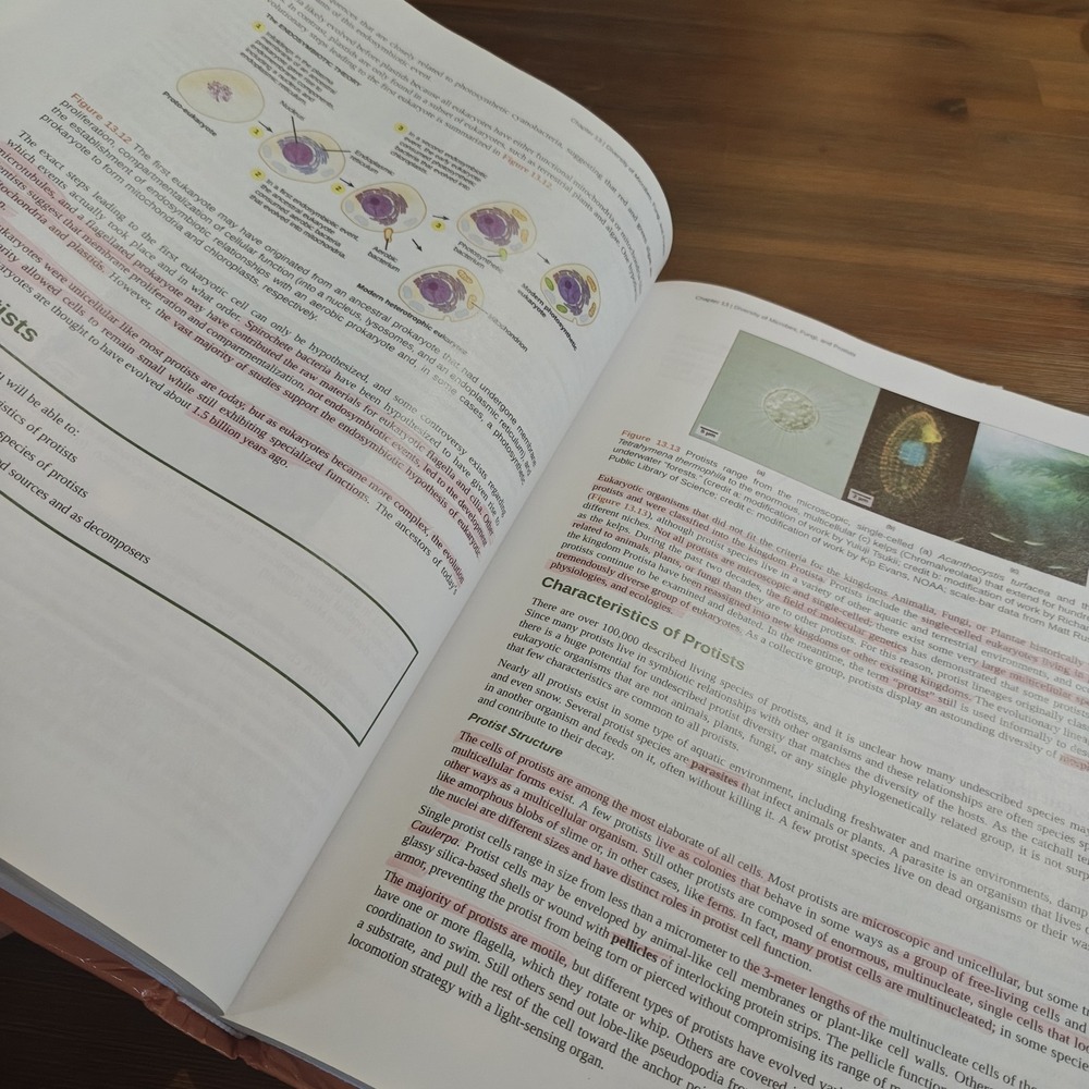 Concepts of Biology by Samantha Fowler, Rebecca Roush James Wise 9781938168116 - Picture 8 of 8